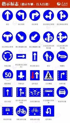 收藏丨今天全國交通安全日,收好這些交通標志,為安全保駕護航!
